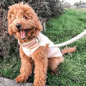 Gooby Small Dog Vest