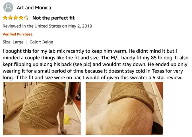 Dog Sweater Review By Art and Monica