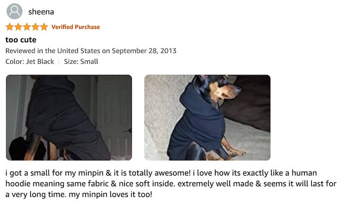 Zack and Zoey Dog Hoodie - Review By Sheena