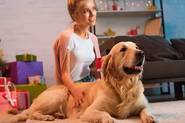 larger dogs without heart disease larger dogs without heart disease