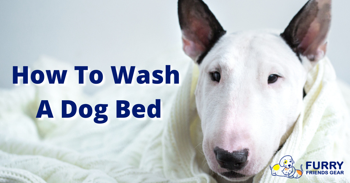 How To Wash A Dog Bed Cleaning 101, The Best Tips & Tricks