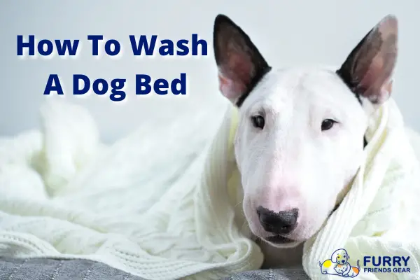 how to wash a dog bed