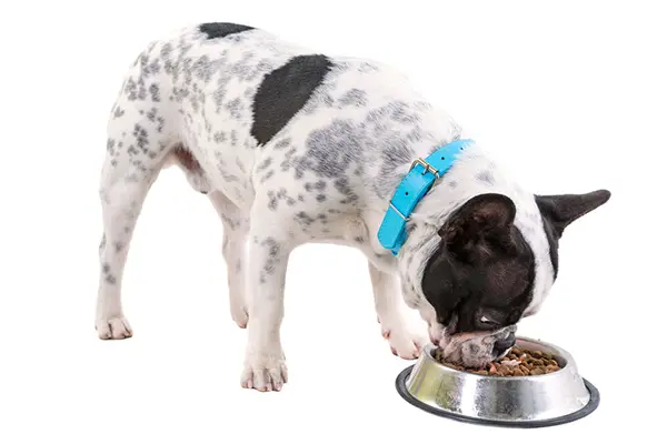 Best Dog Food For Bulldogs