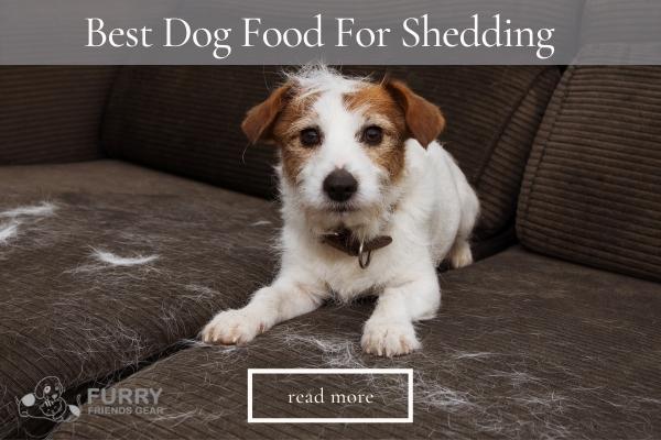 Best Dog Food For Shedding, An In-Depth Review Of 5 Products