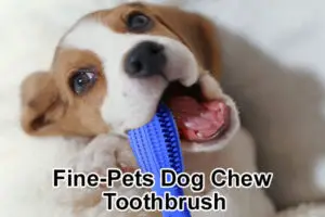 Fine-Pets Dog Chew Toothbrush