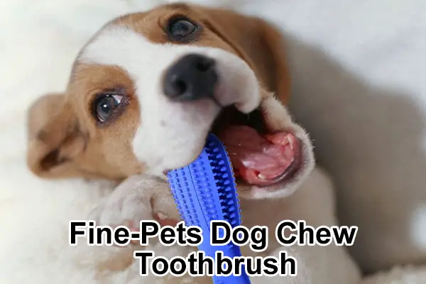 Fine-Pets Dog Chew Toothbrush, 2024 In-Depth Product Review