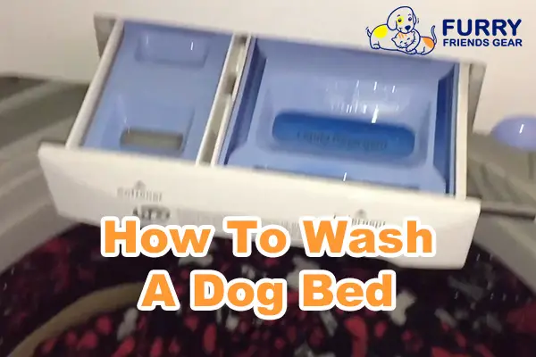 How To Wash A Dog Bed - Furry Friends Gear