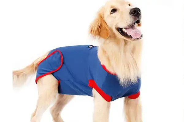 Onesie For Dogs After Surgery