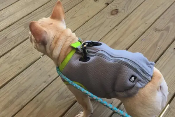 SGODA Dog Cooling Vest Harness