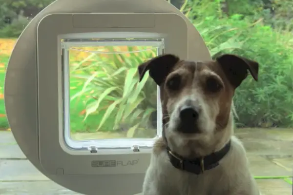 SureFlap Smart Dog Door