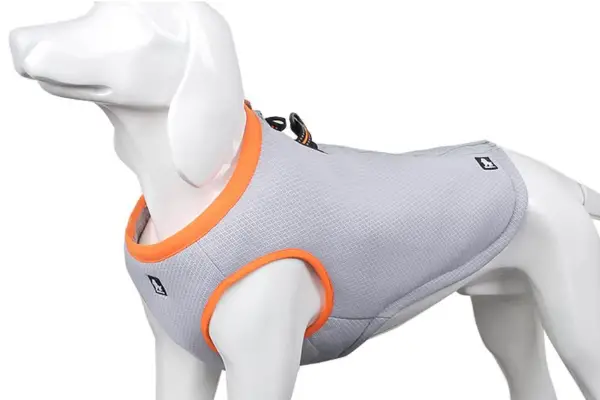 animation of a dog in the cooling vest