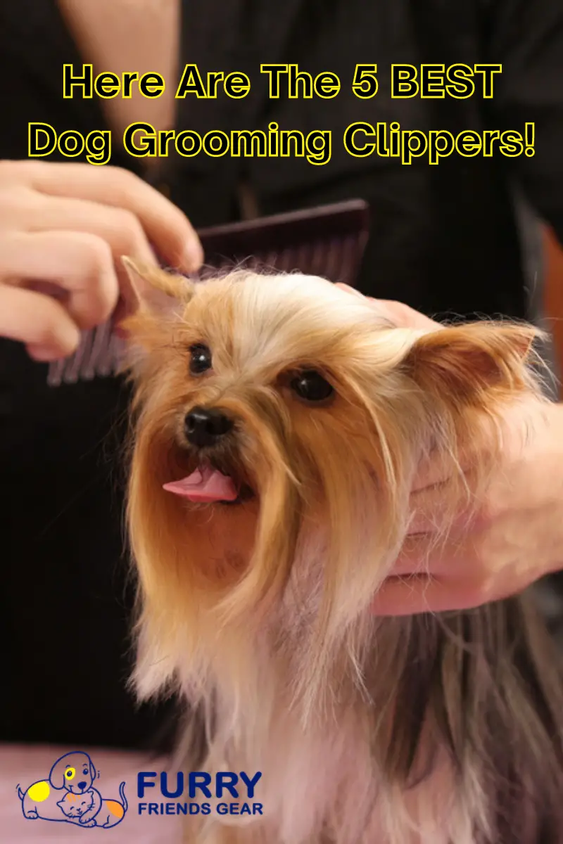 best dog grooming clippers PIN