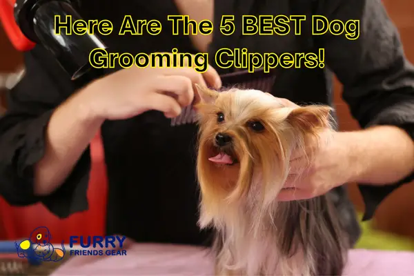 Best Dog Grooming Clippers: Top 5 Review Of Today’s Outstanding Choices