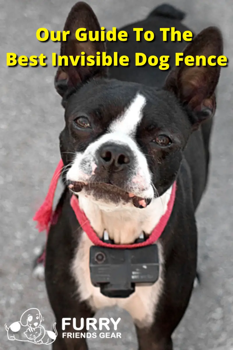 best invisible dog fence PIN