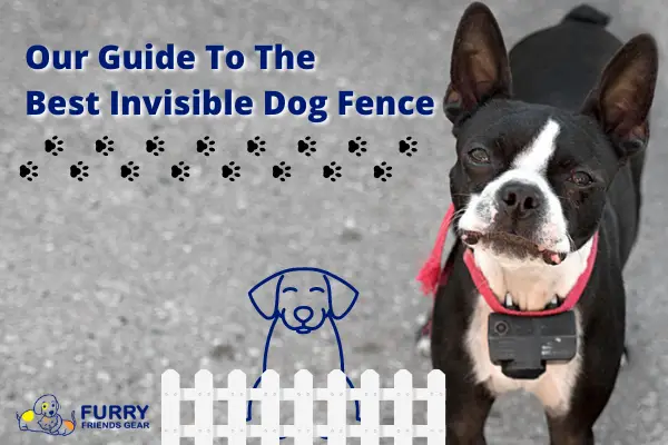 best invisible dog fence
