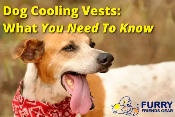 dog cooling vest