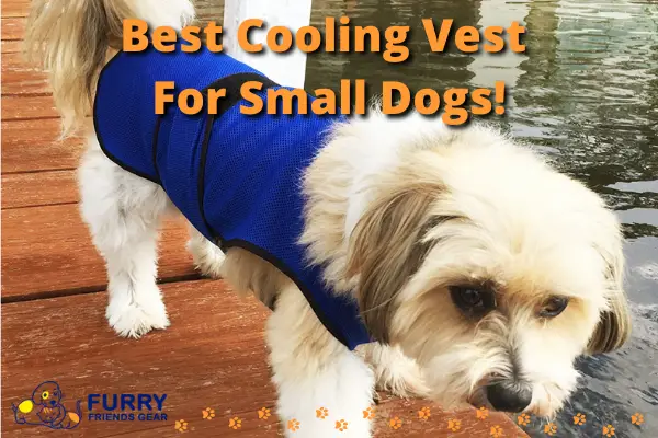 DOGZSTUFF Cooling Vest: Best Cooling Vest For Small Dogs