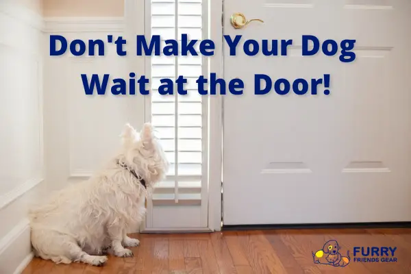 Electronic Dog Door Review: Our Top 7 Picks