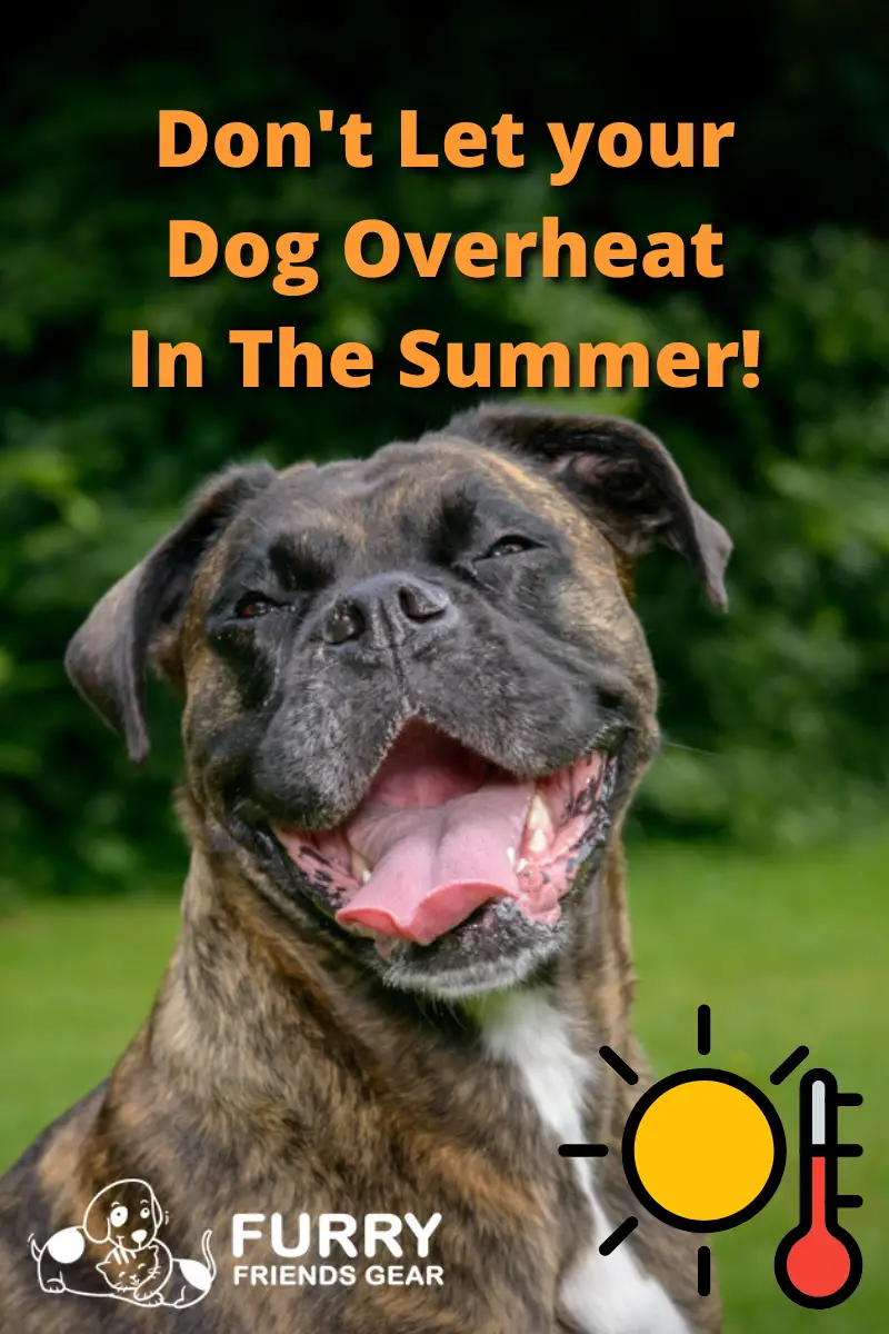 evaporative dog cooling vest PIN