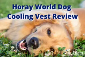 horay world dog cooling vest