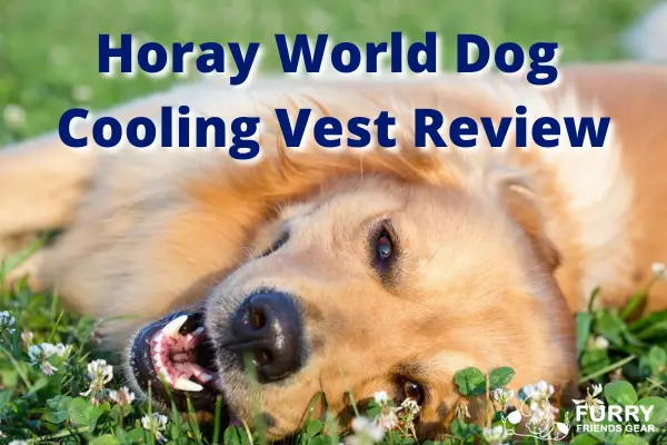 horay world dog cooling vest