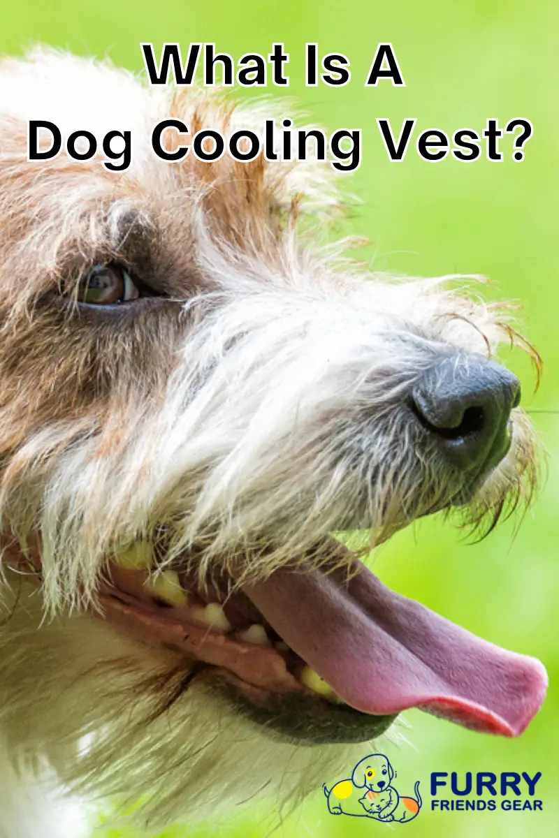 how does a dog cooling vest work