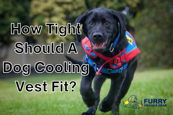 how tight should a dog cooling vest fit