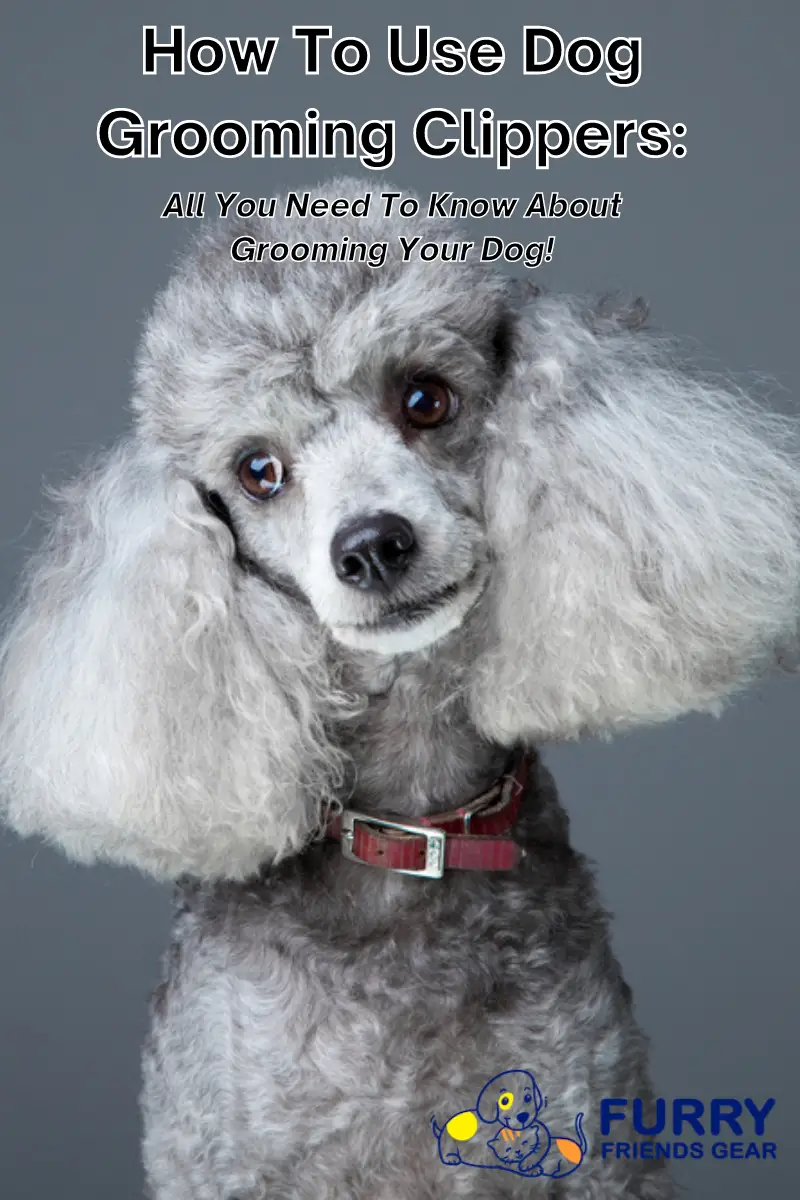 how to use dog grooming clippers