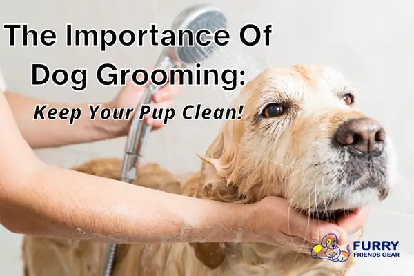 importance of dog grooming