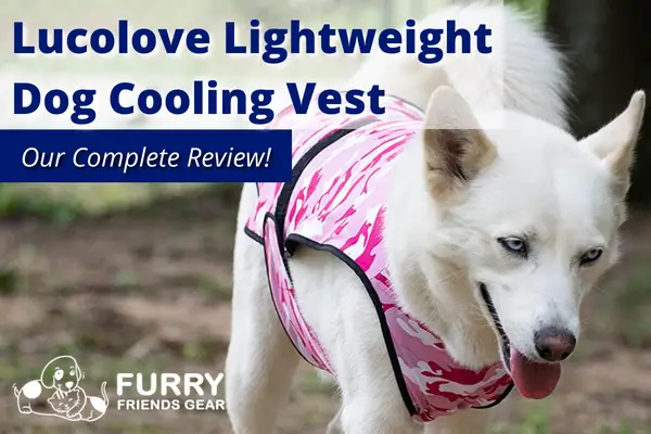 LUCOLOVE Lightweight Dog Cooling Vest: Best Light Dog Vest