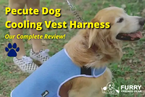 pecute dog cooling vest harness