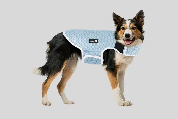 pecute dog cooling vest harness