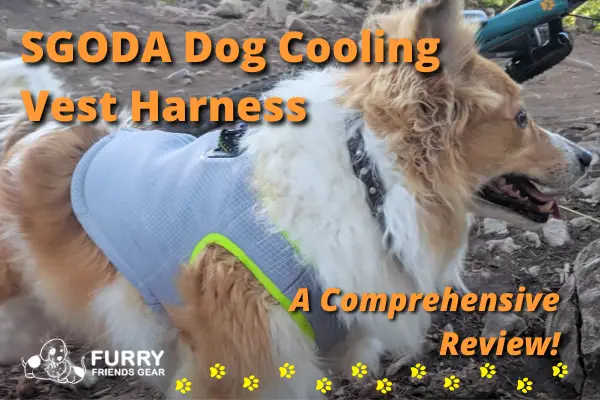 sgoda dog cooling vest harness