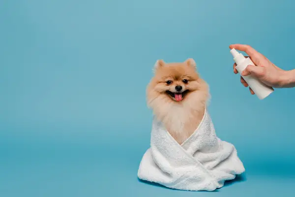 small dog wrapped in towel