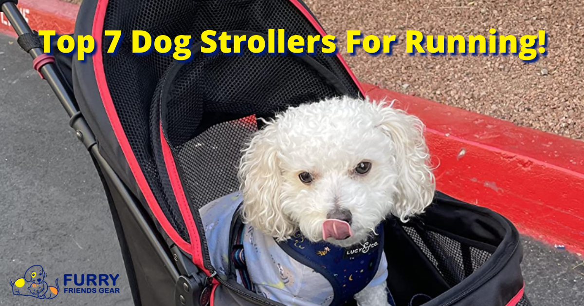 Top 7 Best Dog Strollers For Running, Our Complete Analysis