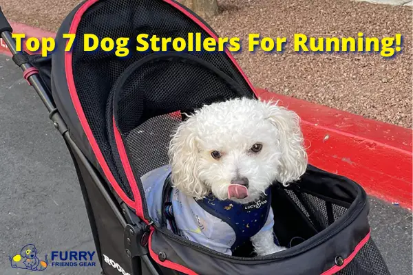 Top 7 Best Dog Strollers For Running