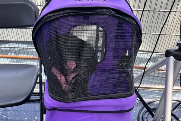 VIVO Purple 3 Wheel Pet Stroller