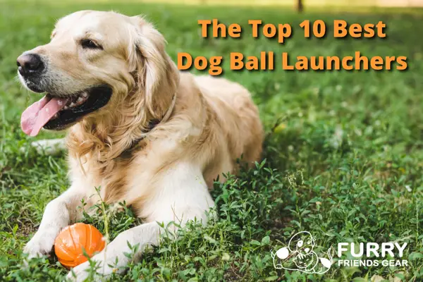 best dog ball launcher