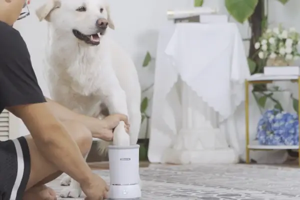 Automatic Dog Paw Cleaner