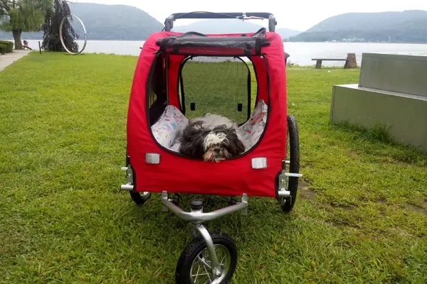 Best Choice Products 2-in-1 Pet Stroller and Trailer