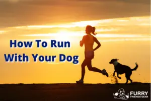 How To Run With Your Dog