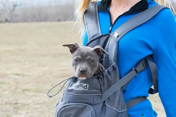 Outward Hound PoochPouch & PupPak Carriers