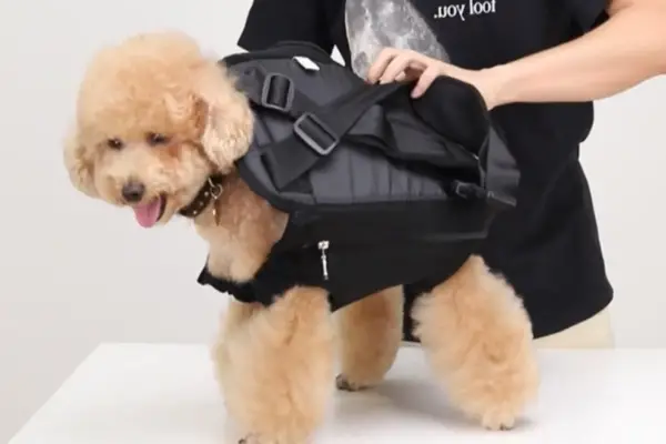 Pawaboo Pet Carrier Backpack