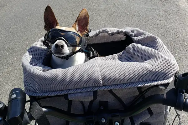 Pet Carrier Bicycle Basket Bag