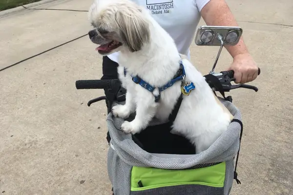 Petsfit Dog Bike Basket