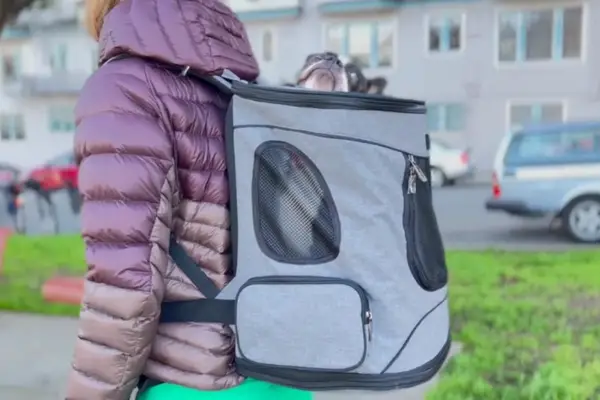 Petsfit Soft Pet Backpack Carrier