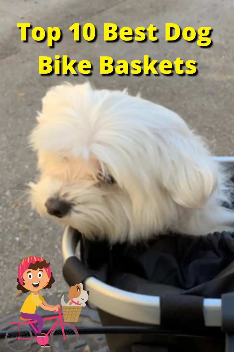 best dog bike baskets PIN