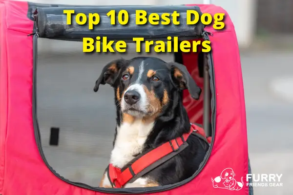 Best Dog Bike Trailer: Our Top 10 List