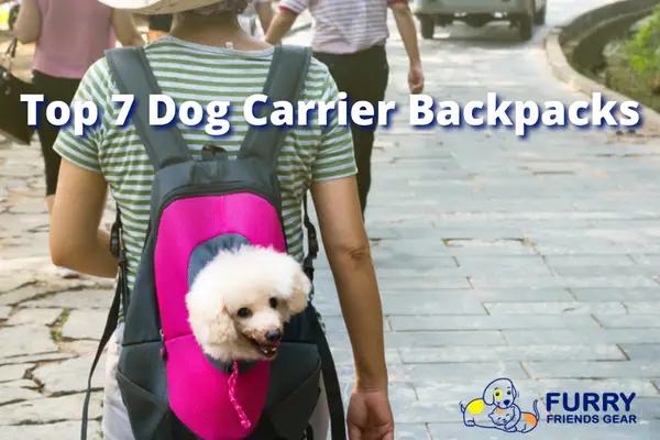 Best Dog Carrier Backpack, Our Top 7 Picks