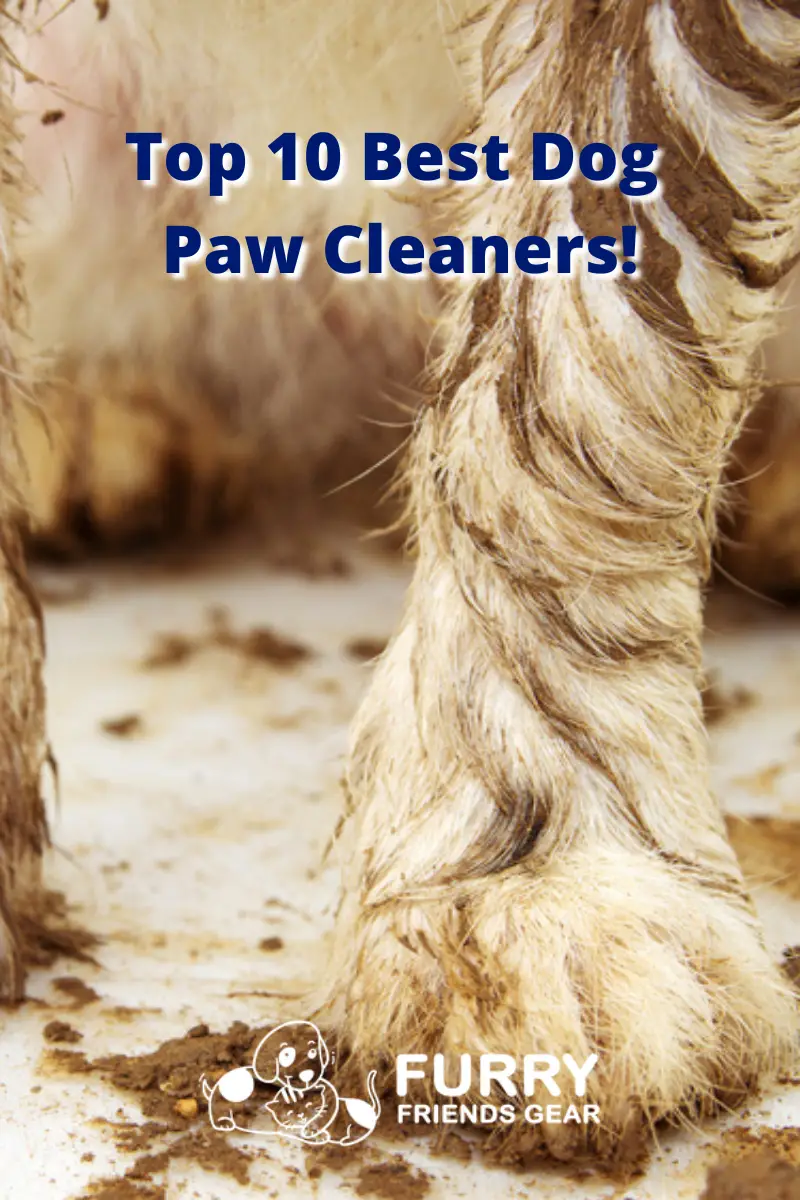 best dog paw cleaner PIN